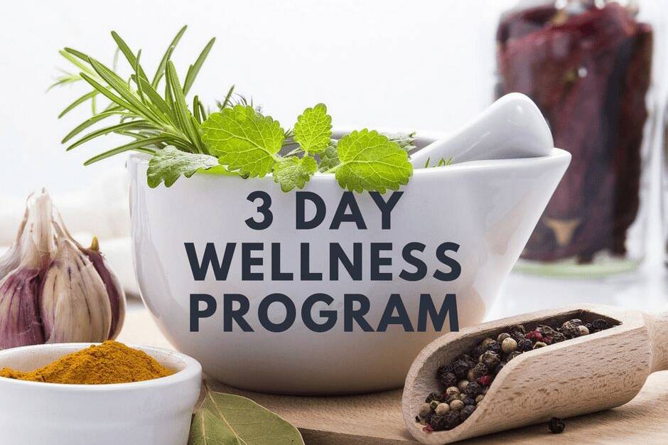 3 day wellness program