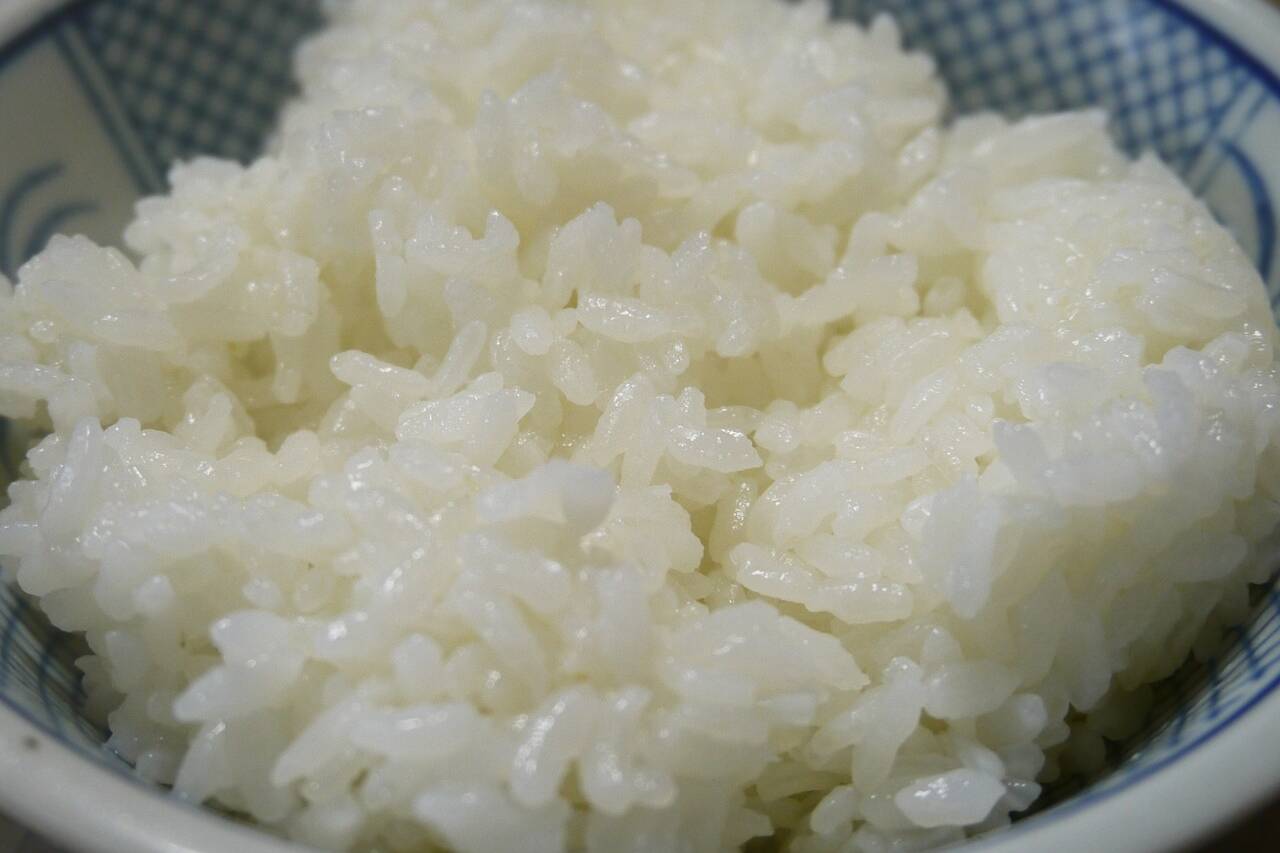 rice probiotic