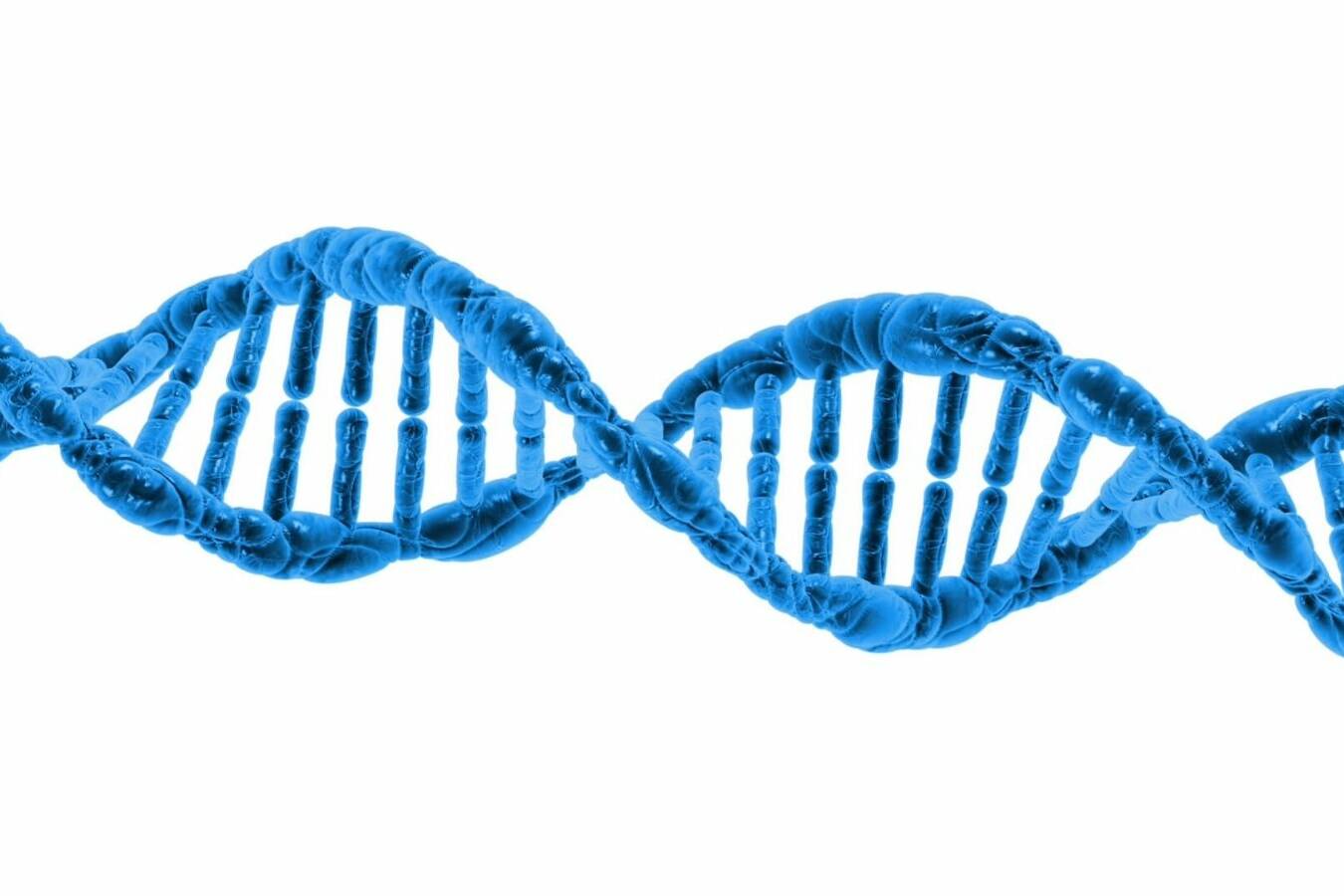 DNA