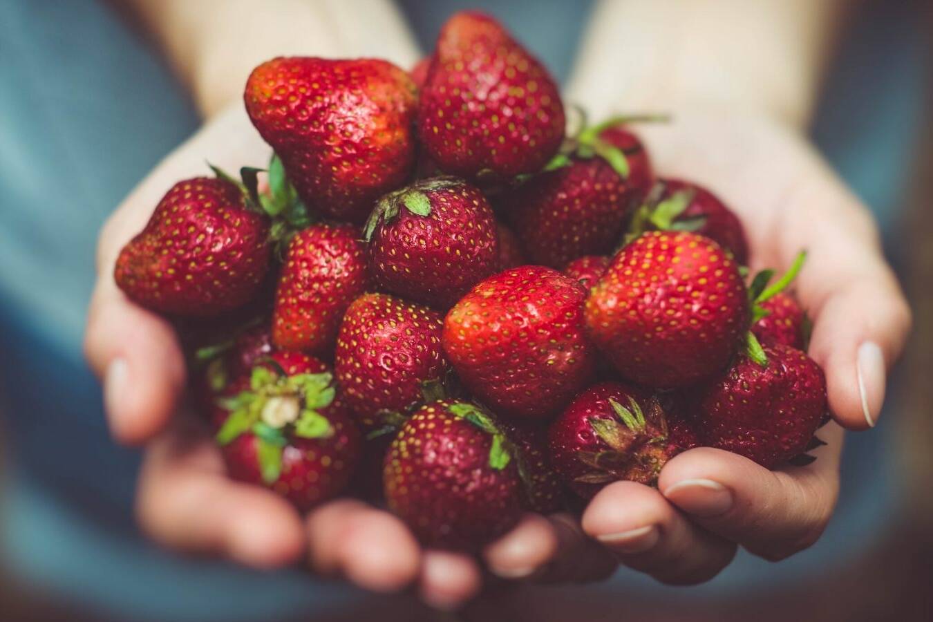 strawberries