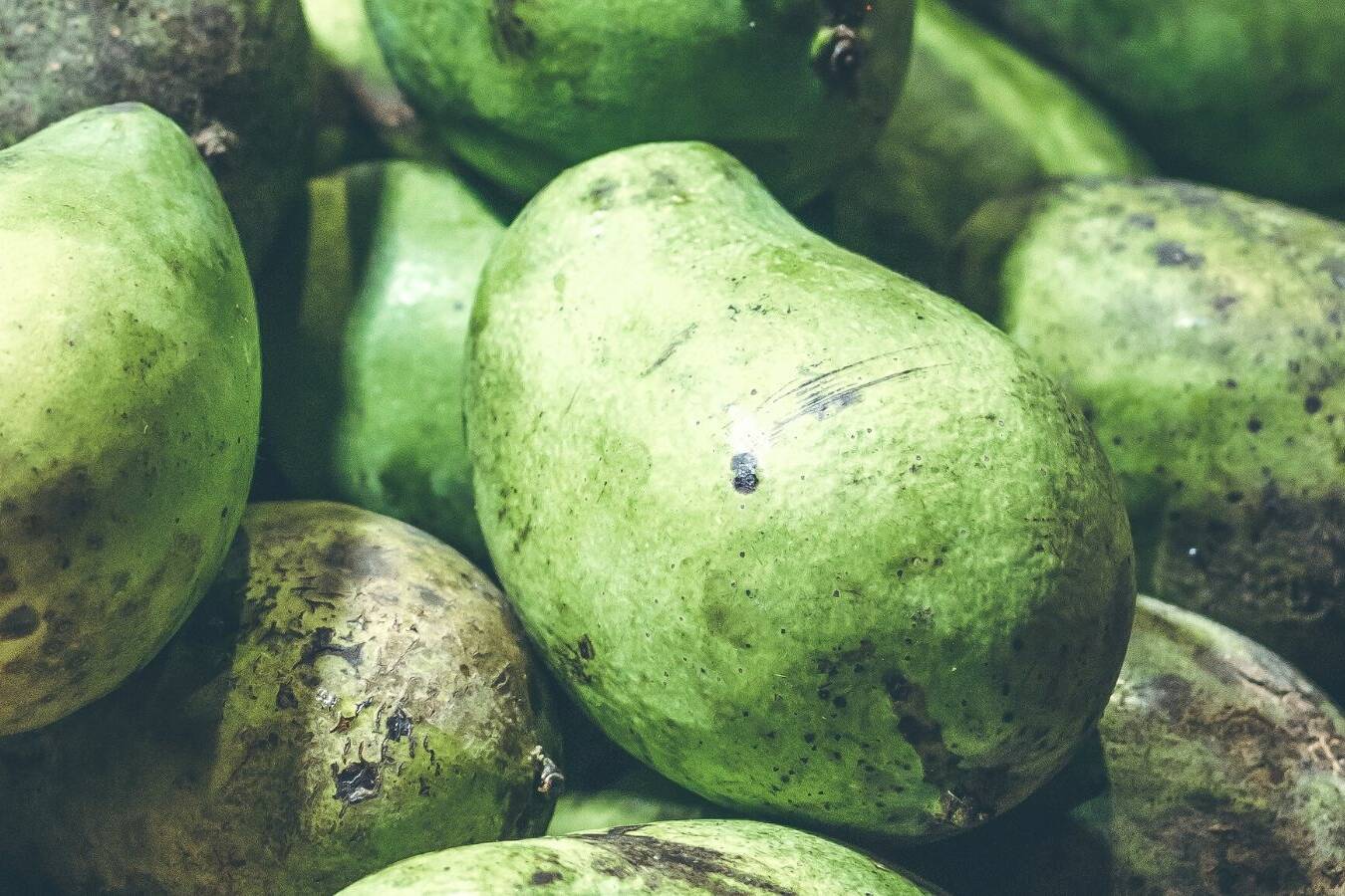 raw mango