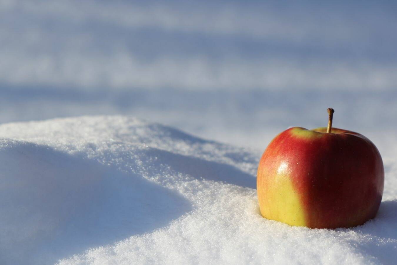 winter food recipes