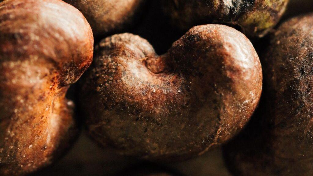 Kidneys