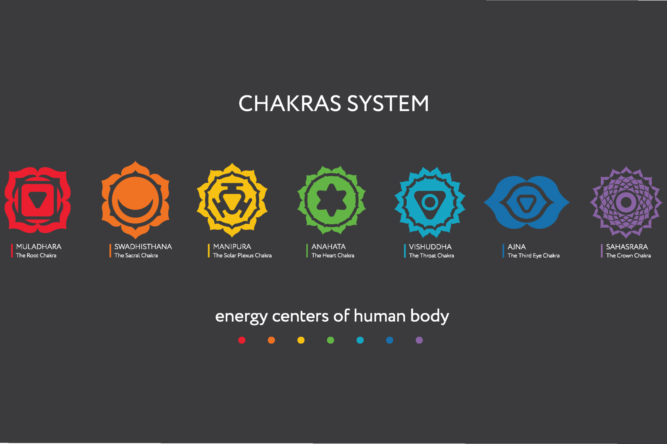 Align Your Chakras - 7 Chakras