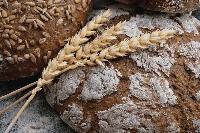 celiac-gluten-intolerant