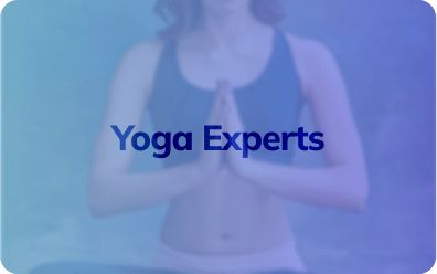 Experts 6
