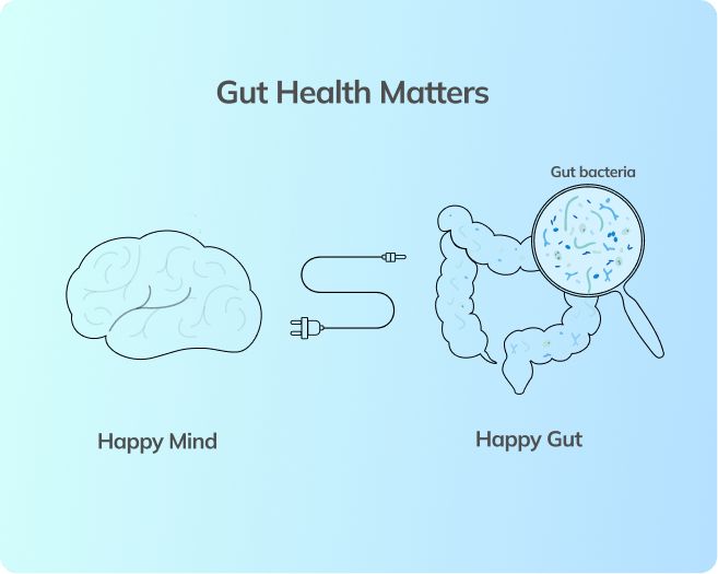 Gut Microbiome -Illustration