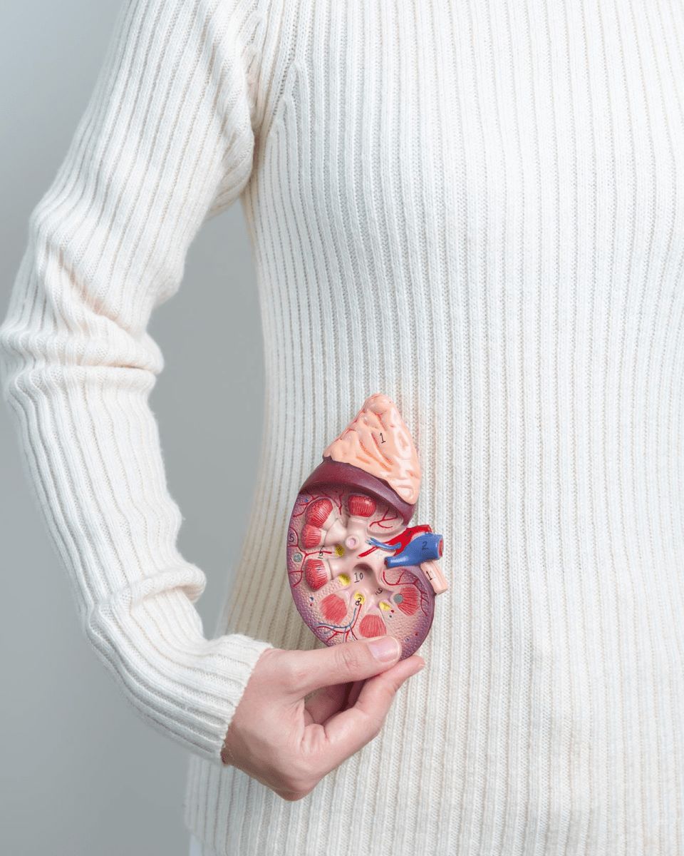 Kidney Care Program