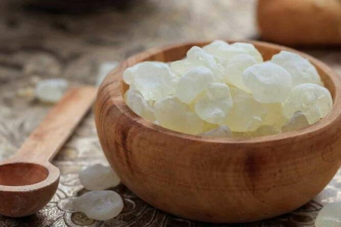 benefits-mastic-gum-oral-health-gut-liver