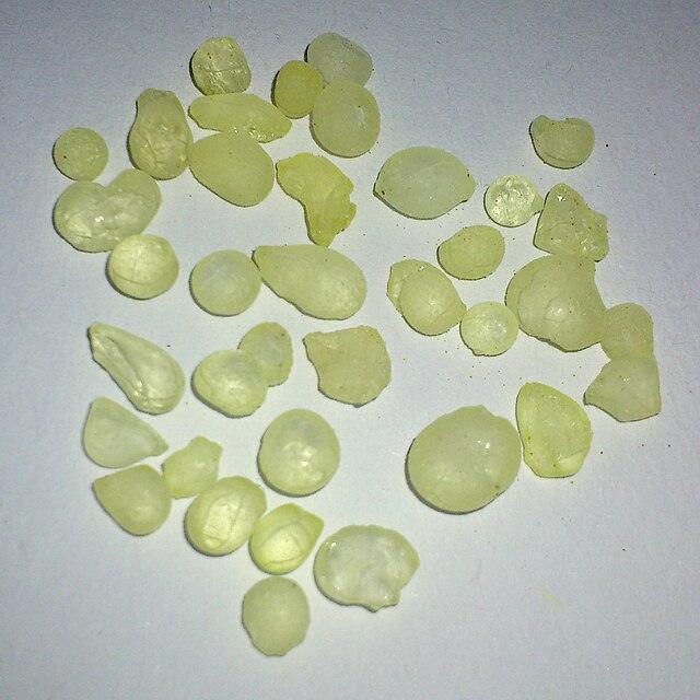 From Your Oral Health, Gut, to Liver: Here's Why You Should Try Mastic Gum benefits-mastic-gum-oral-health-gut-liver