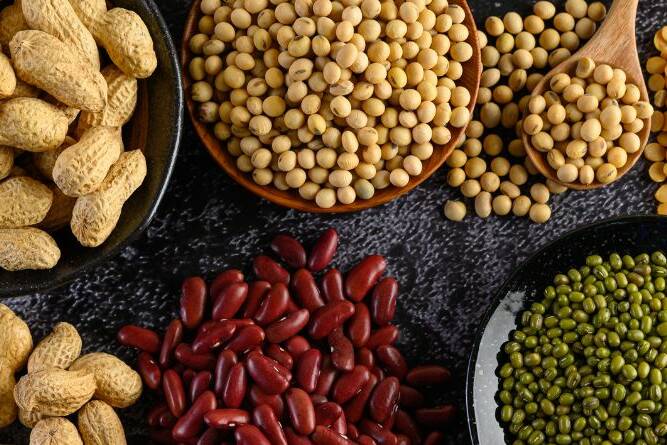 lectins-good-bad-top-foods
