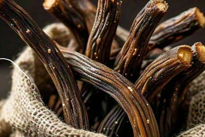 licorice-benefits-lung-gut-skin