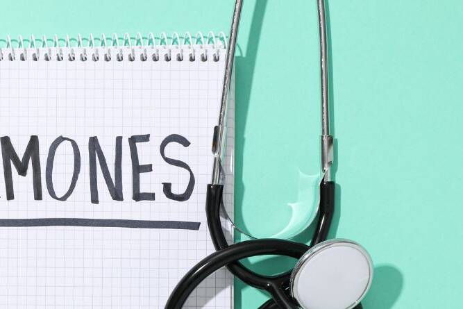 Hormones in Harmony: 6 Powerful Steps to Balance Your Body and Mind