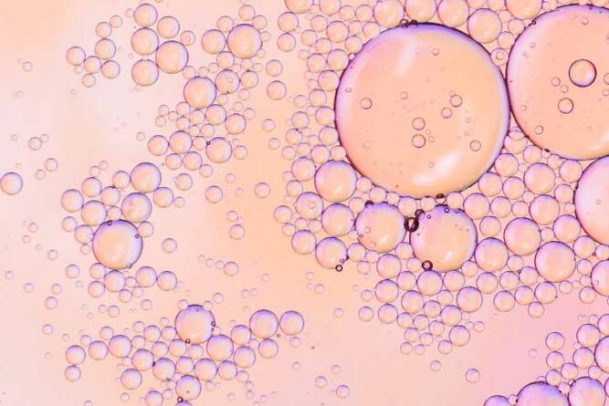 Are Your Cells Thriving or Struggling? 6 Powerful Habits That Make or Break Your Well-Being