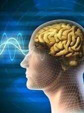 Leveraging Lifestyle Choices for Optimal Brain and Cognitive Health
