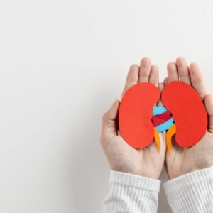 kidney health course for wellness and prevention