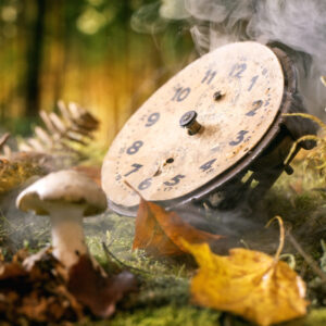 Circadian Rhythm: A New Way of Living Beyond Medicine