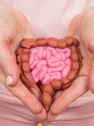 Rebuilding Your Gut - Its Connection with Every Disease, Prevention, and Recovery