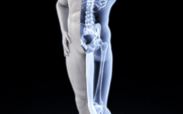 Strong Bones, Happy Joints: Optimizing Bone and Joint Health with Lifestyle Choices