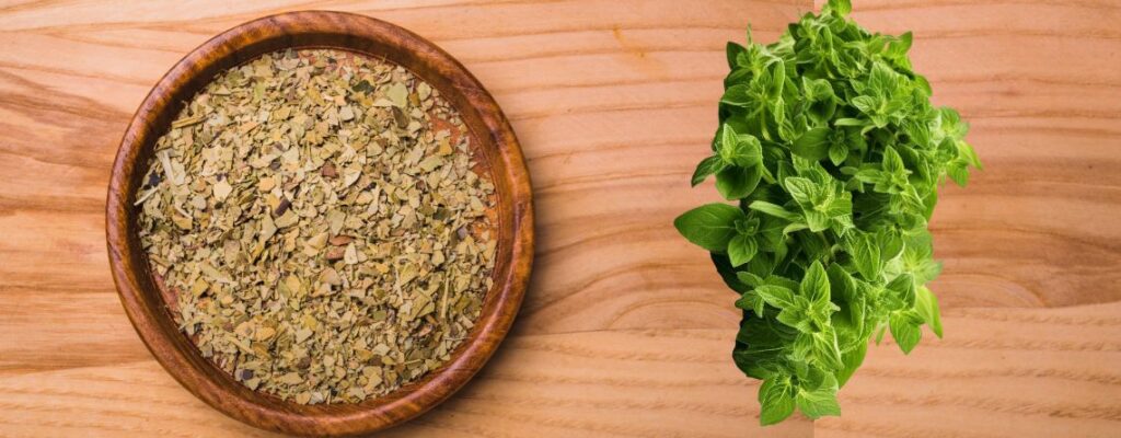 3 Oregano Benefits That Will Make You Want to Add It to Everything