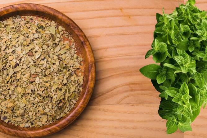 The Secrets of Oregano: How THIS Ancient Herb Benefits Your Health and Vitality