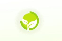 Pillar of holistic health Pillar of holistic health - 1