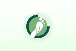 Pillar of holistic health - 2 Pillar of holistic health - 2