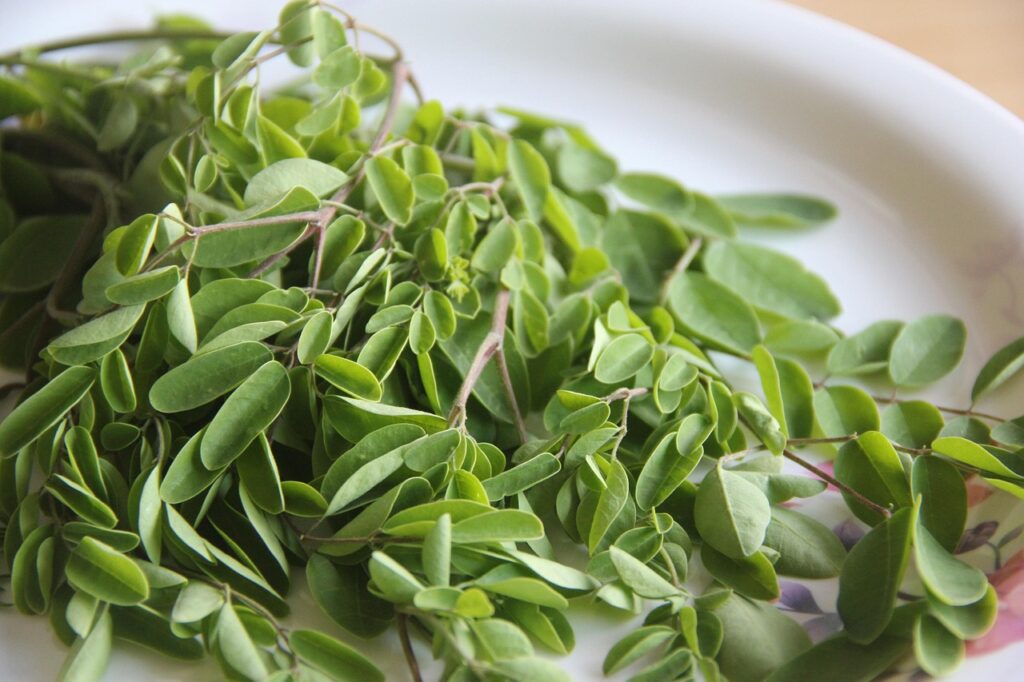 Moringa Benefits for Women: Iron, Hormones, Pregnancy, Lactation, and More Moringa