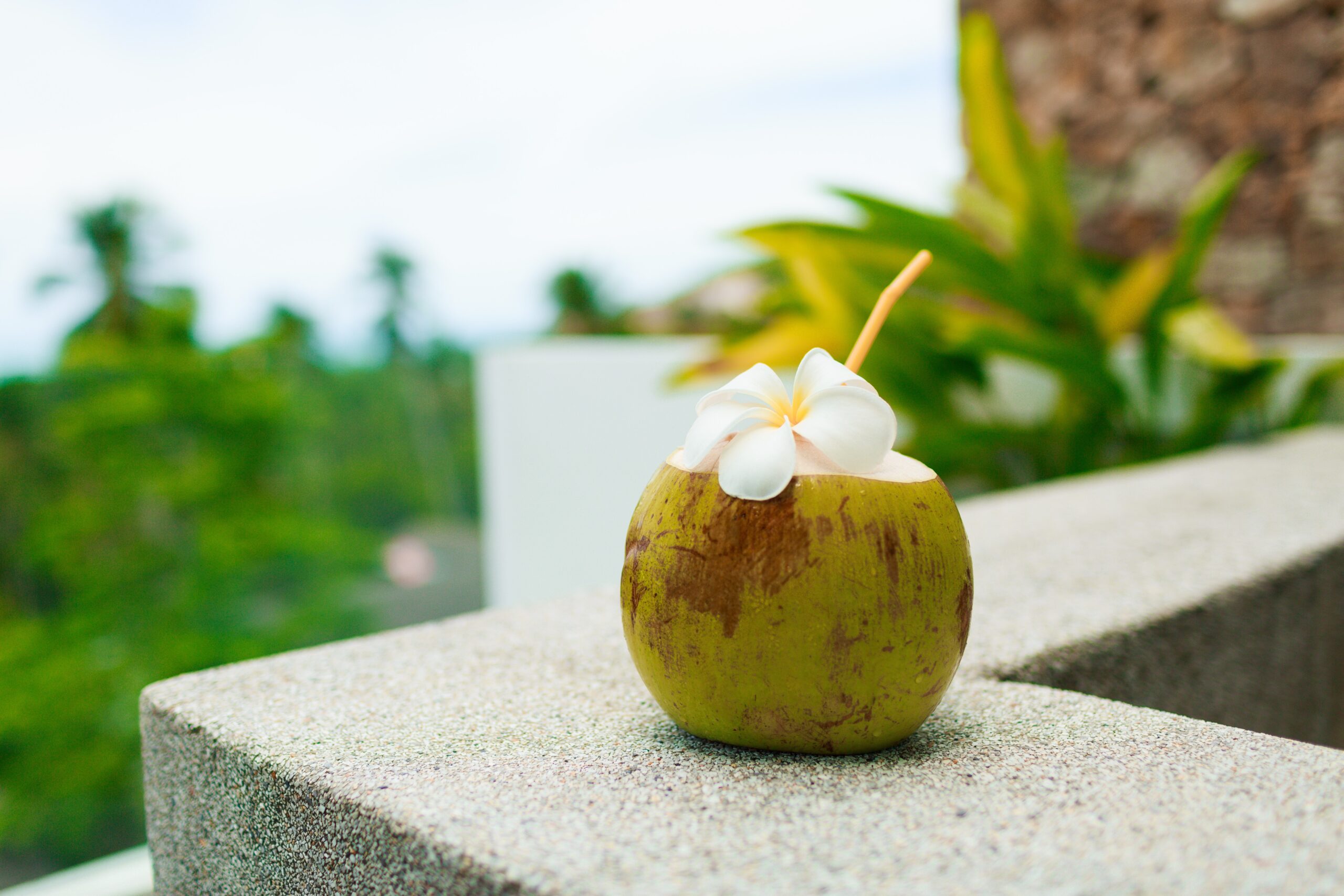 The Coconut Water Advantage: Nature’s Favorite Hydrator with Ancient Wisdom coconut water advantage, coconut water daily benefits , coconut water benefits in pregnancy