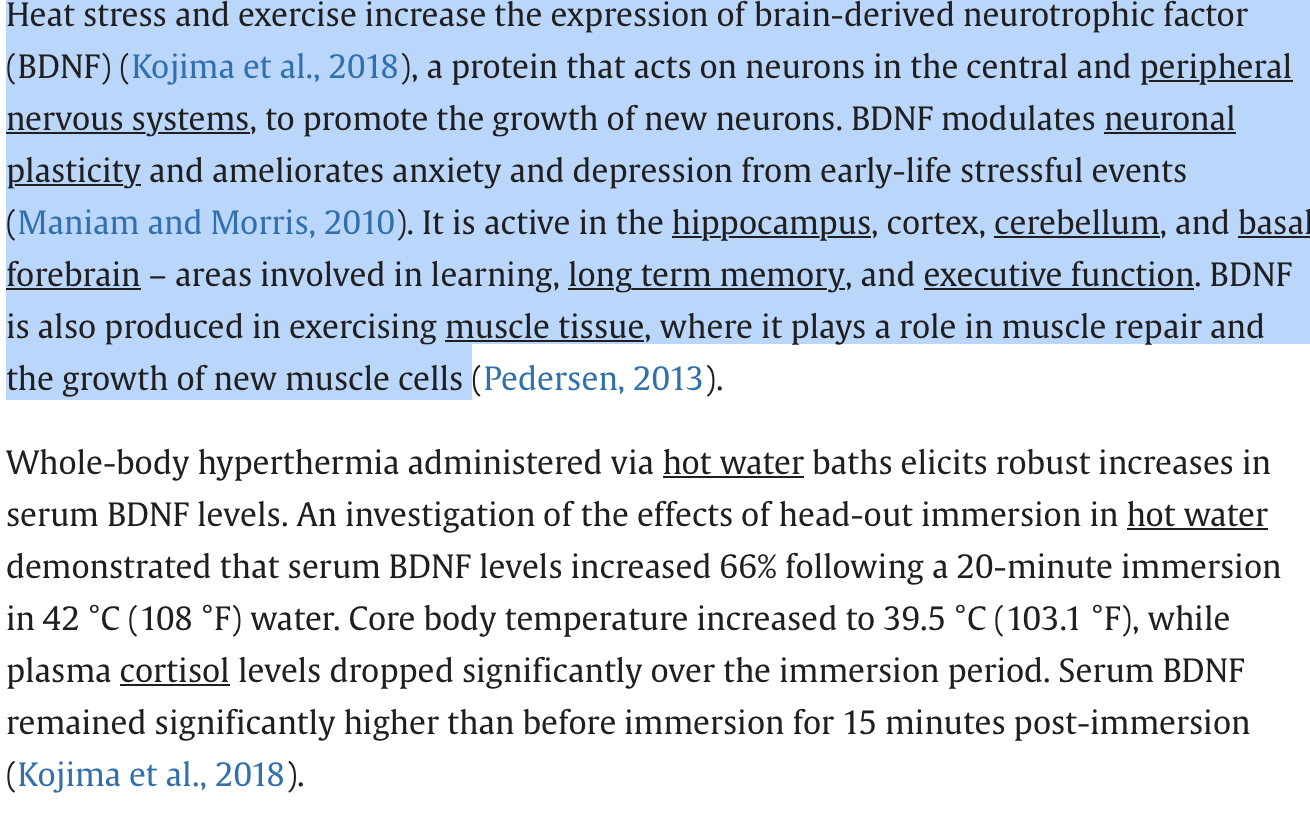 Turn Down the Noise, Turn Up the Heat: The Benefits of Sauna Bath