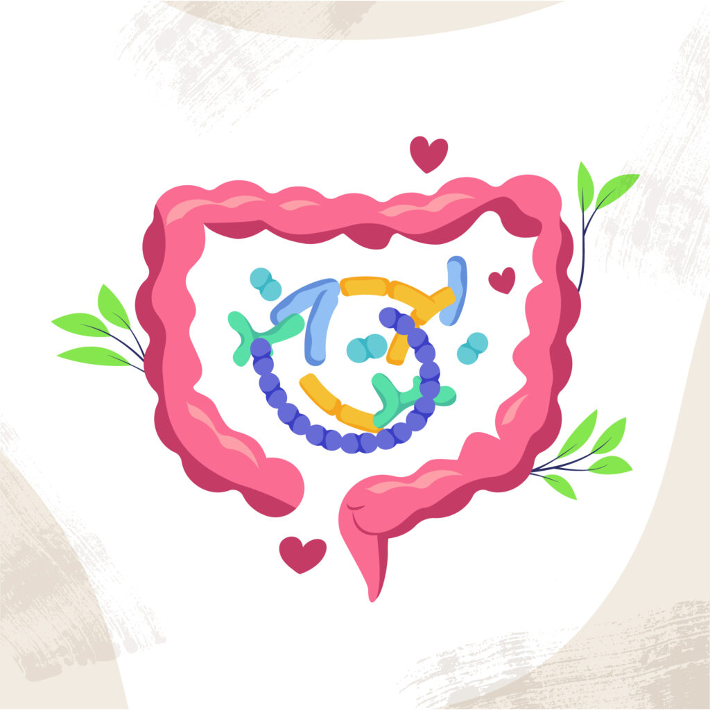 gut health improvement