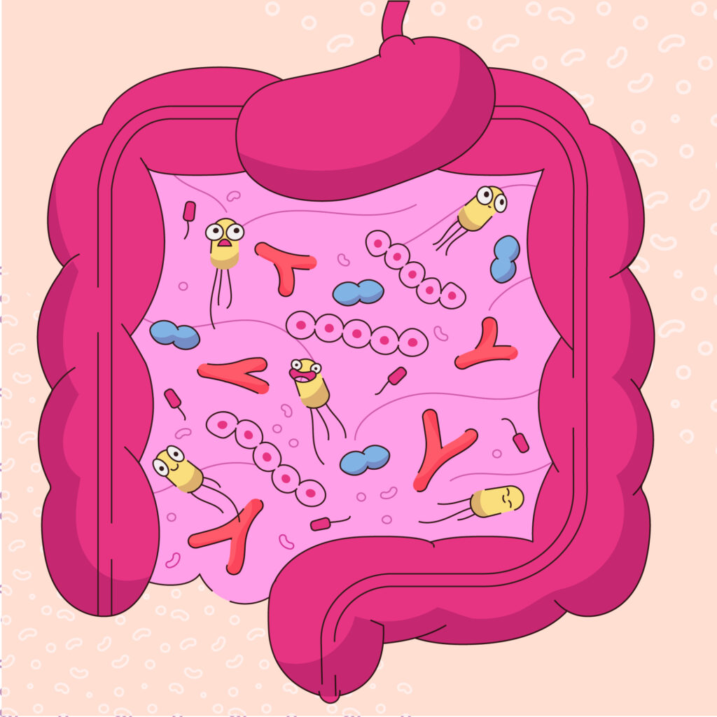 gut health improvement