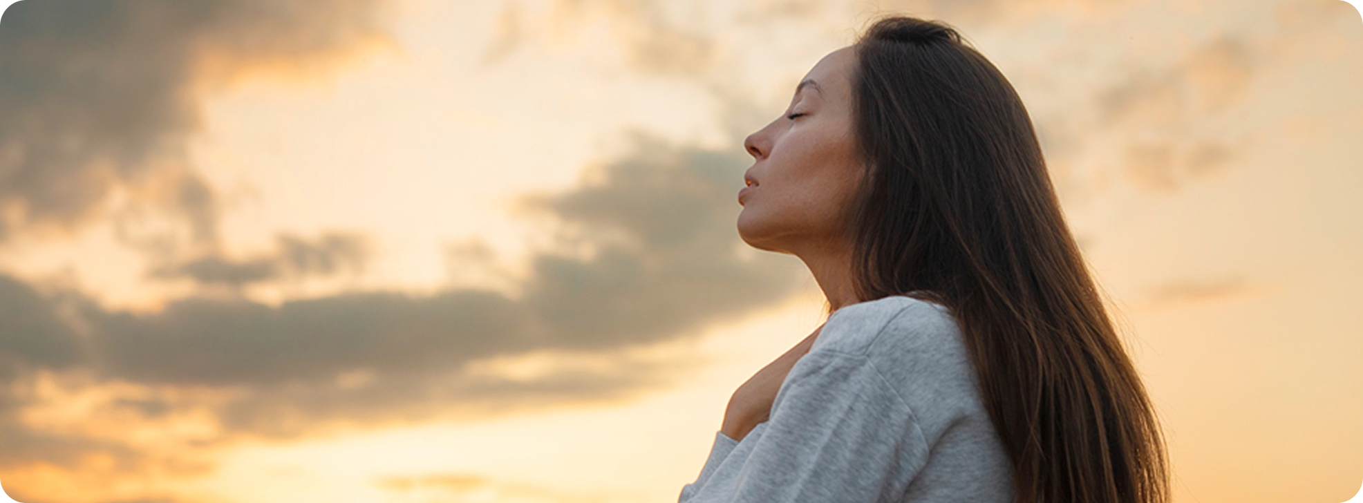 Rectangle-34624737 Rectangle-34624737