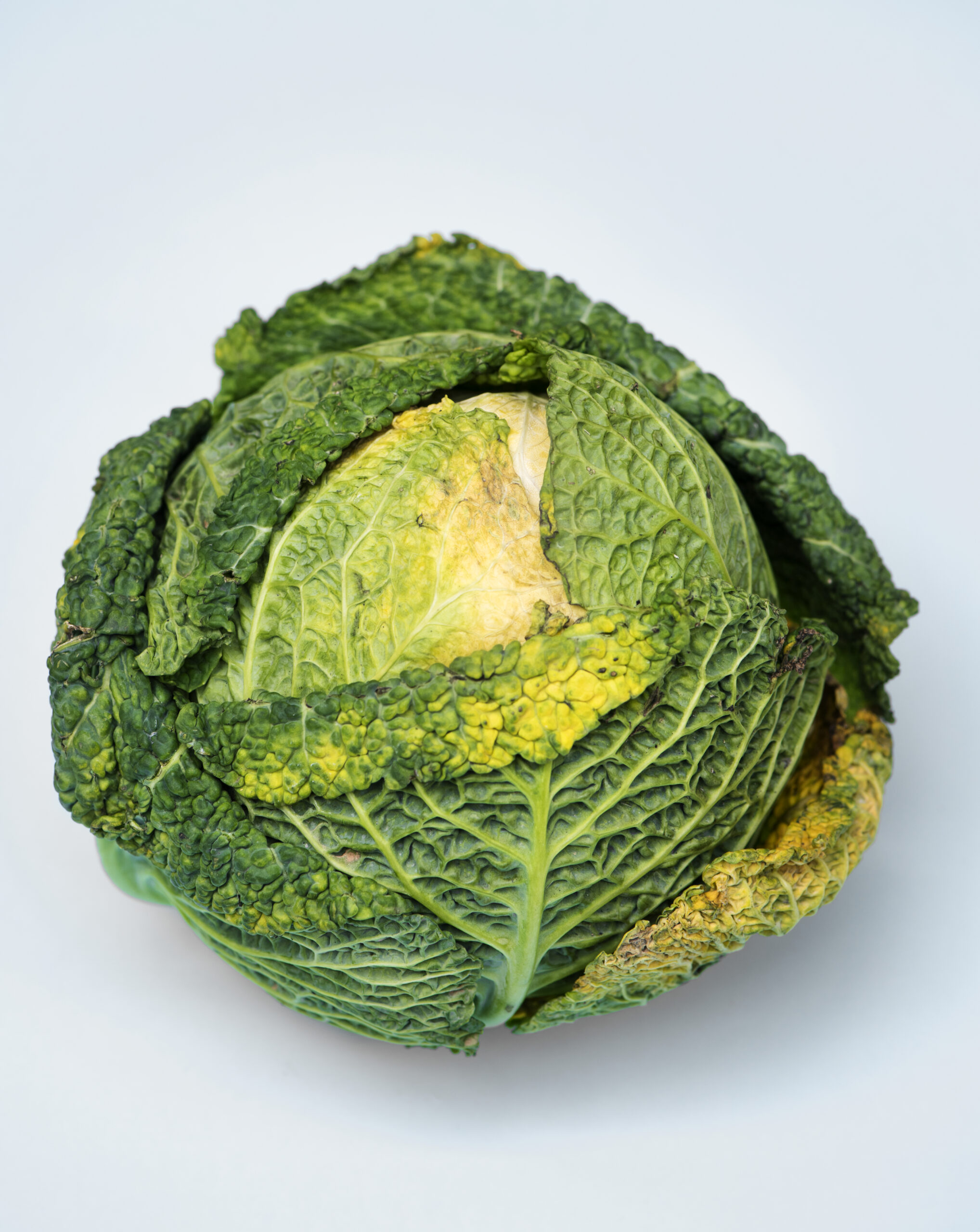 From Sabzi to Sauerkraut: Why Cabbage Deserves a Spot in Your Kitchen cabbage nutrition information, cabbage recipe, health benefits of cabbage, vitamin in cabbage