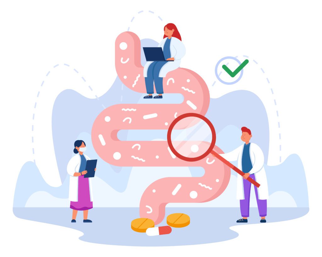Gut microbiome diagram showing digestive health