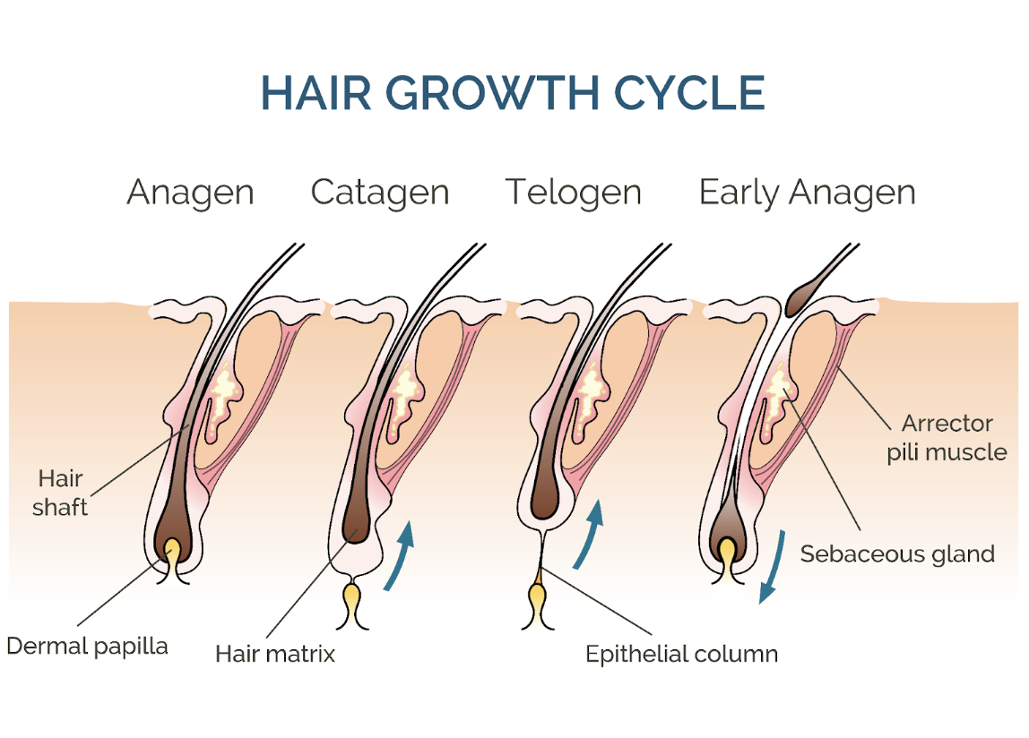 Hair Thinning Causes No One Talks About 
