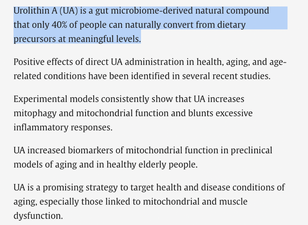 This Gut-Derived Compound Could Be the Key to Living Longer and Stronger Illustration of urolithin A benefits for healthy aging