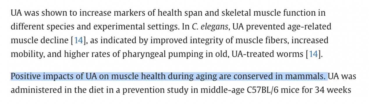 This Gut-Derived Compound Could Be the Key to Living Longer and Stronger Urolithin A-Rich Foods That Fuel Your Cells and Muscles