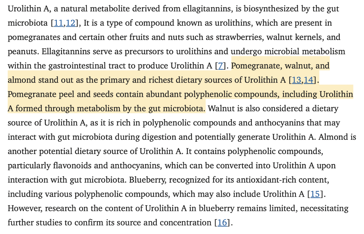 This Gut-Derived Compound Could Be the Key to Living Longer and Stronger Urolithin A-Rich Foods That Fuel Your Cells and Muscles