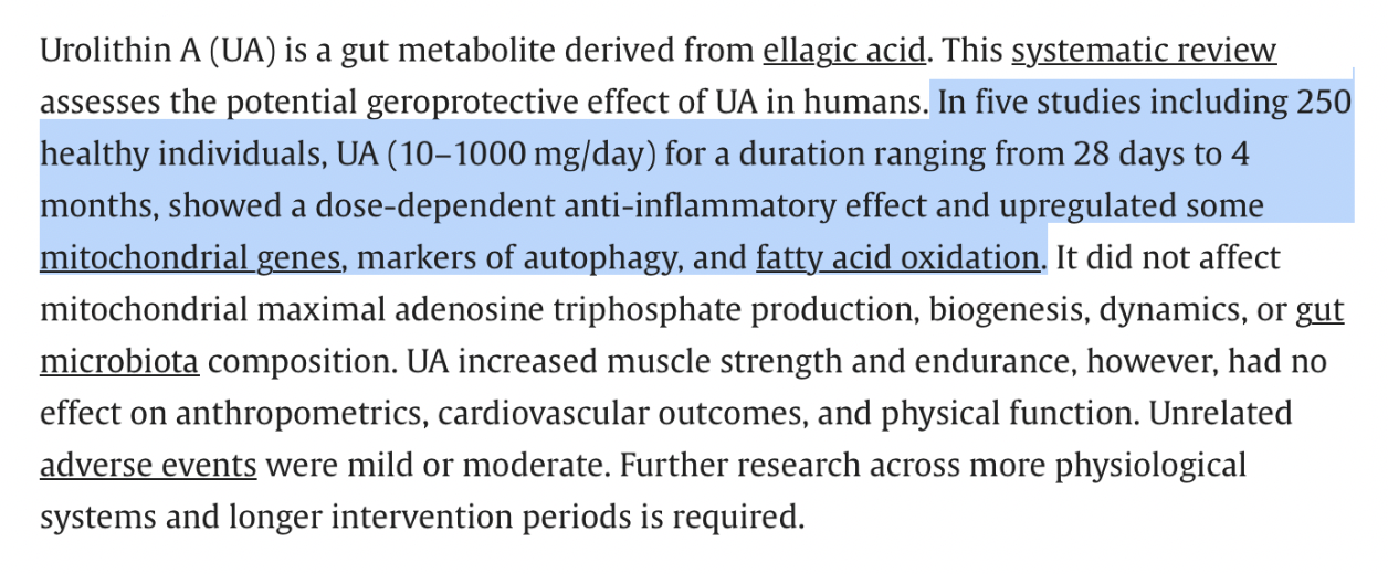 This Gut-Derived Compound Could Be the Key to Living Longer and Stronger Urolithin A-Rich Foods That Fuel Your Cells and Muscles