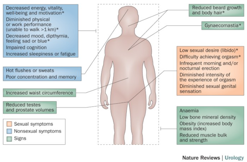 Symptoms of low testosterone overview