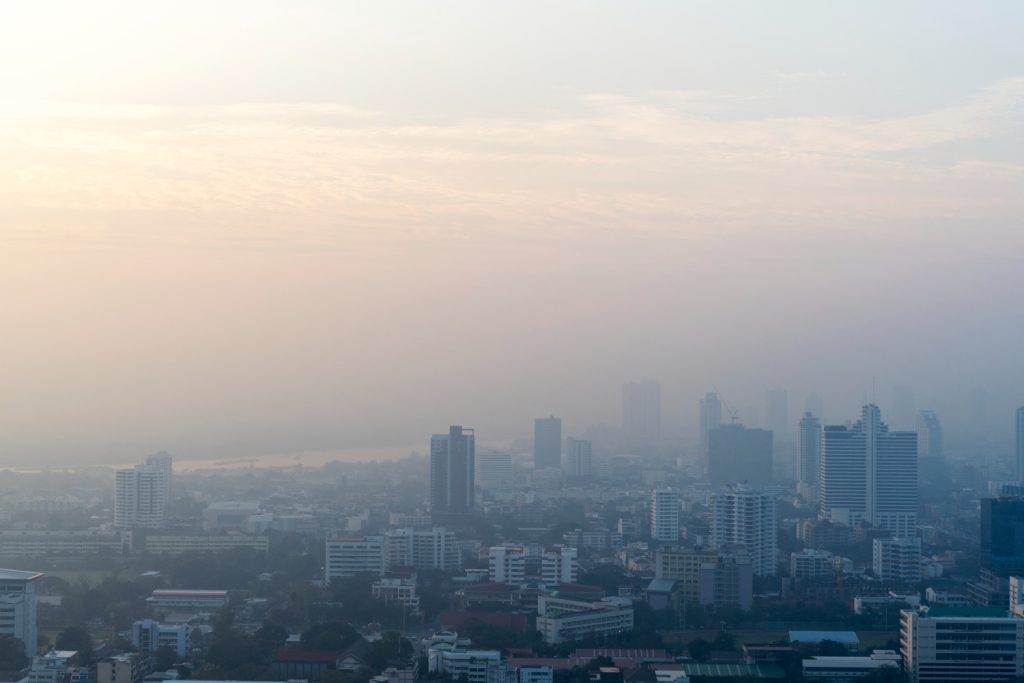 air pollution and premature death