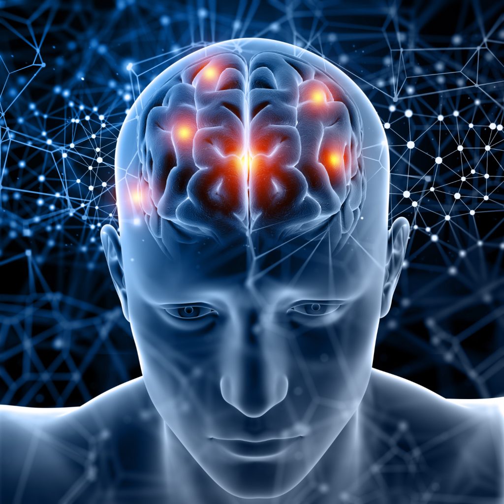 neurogenesis: brain cell regeneration 