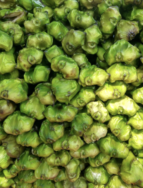 healthy water chestnut showcasing benefits