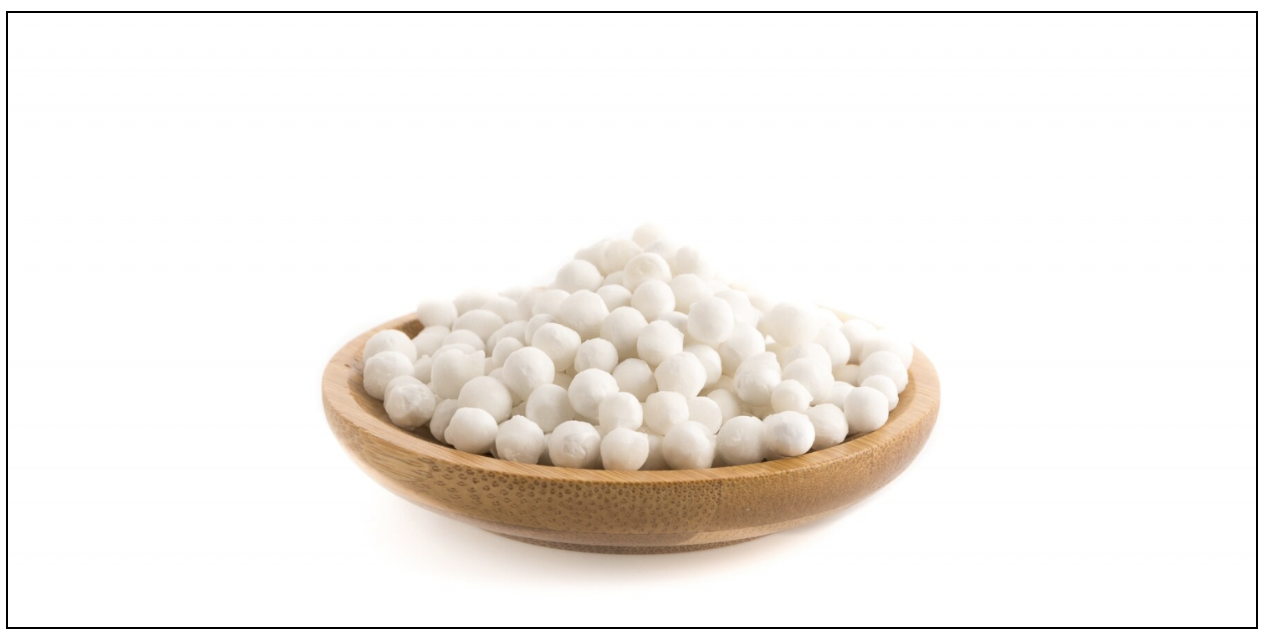 You Eat Sabudana During Fasting… But Is It Actually Helping Your Body? Can Sabudana Support Weight Loss?
