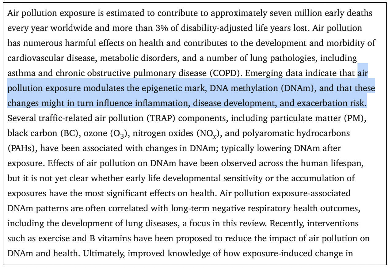 The Pollution Inside You: How Everyday Air Is Rewriting Your DNA Pollution Is Stealing Your Health, Here’s How You Can Fight Back
