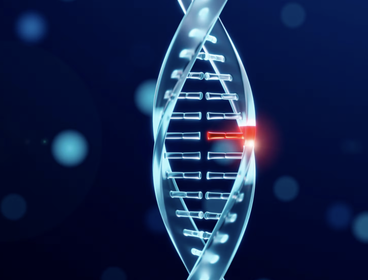 The Pollution Inside You: How Everyday Air Is Rewriting Your DNA Pollution Is Stealing Your Health, Here’s How You Can Fight Back