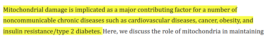 The Science of Mitochondrial Health: Where True Longevity Begins mitochondrial health and function