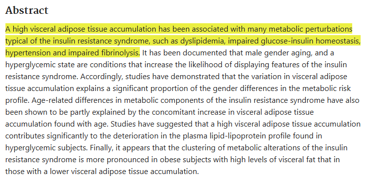 The Hidden Visceral Fat Putting Your Health at Risk (And How to Fix It) visceral fat and diabetes risk