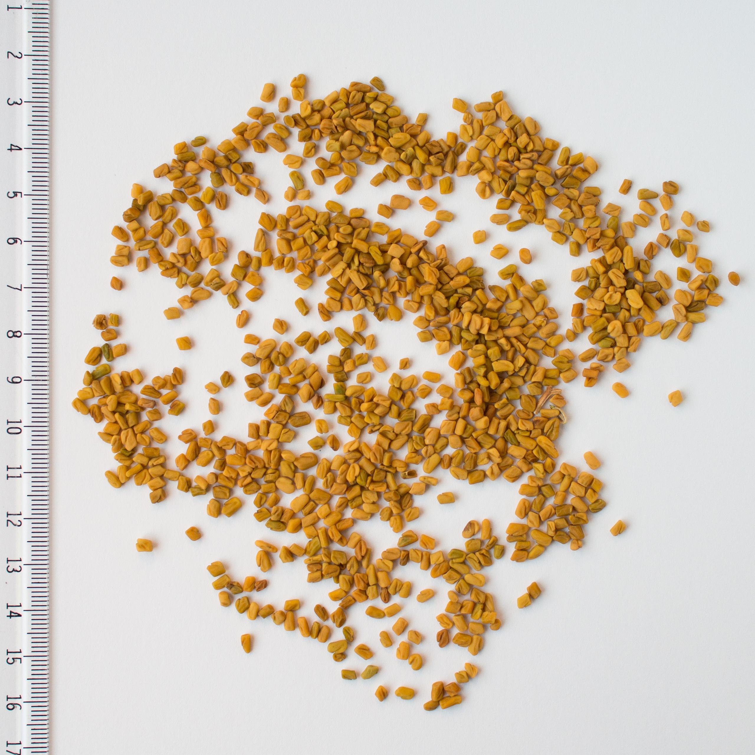 fenugreek-seeds-methi-benefits